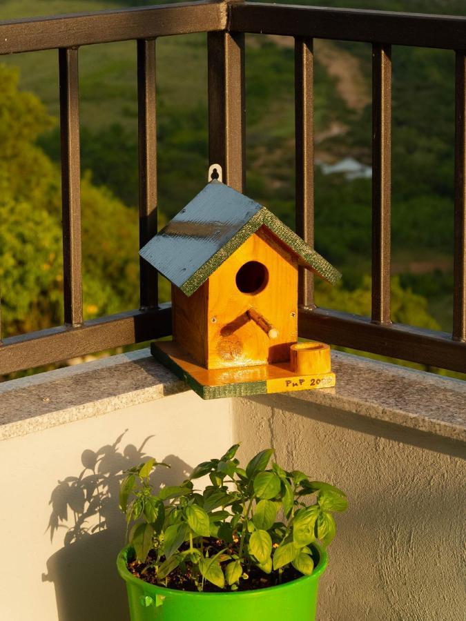 Apartment Village House Ravno 外观 照片